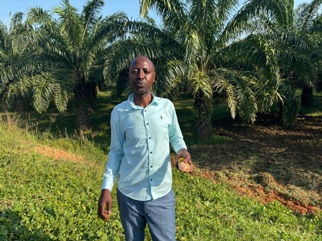 B4D Biochar Production