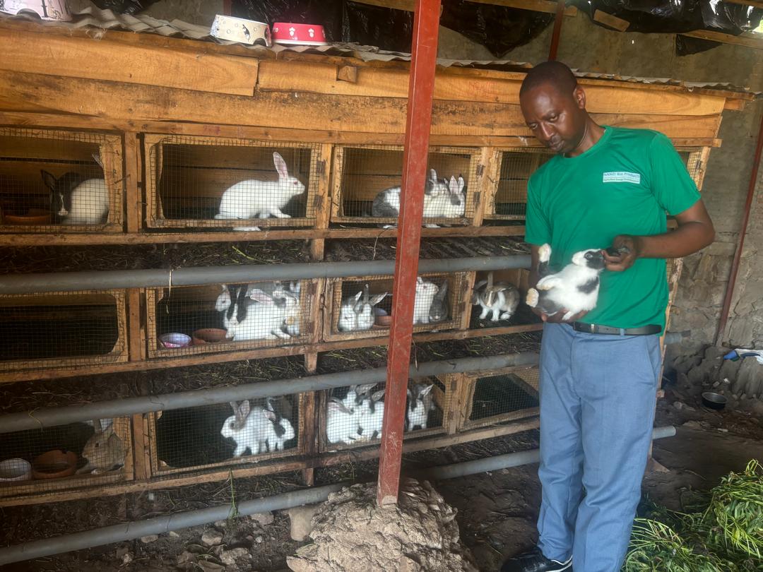 B4D Biochar Production