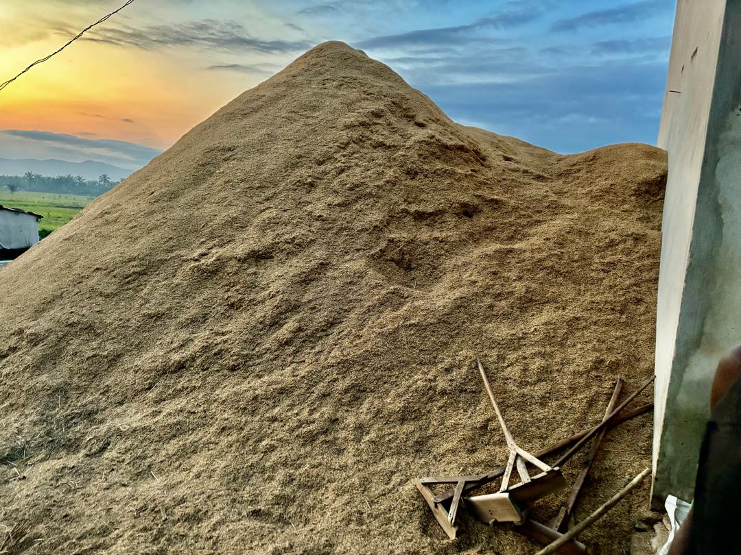 B4D Biochar Production