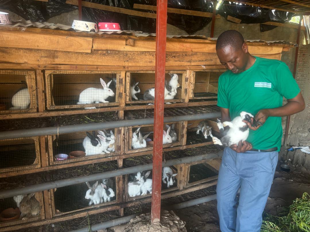 B4D Biochar Production