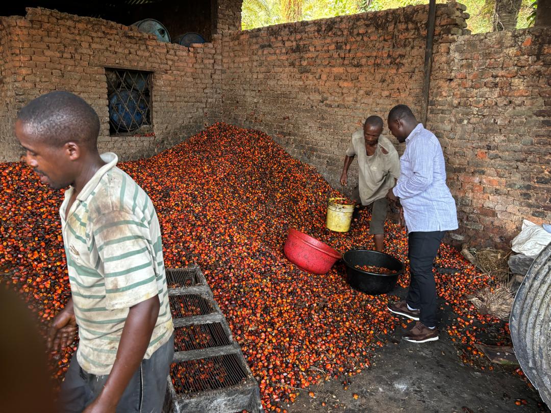 Clean Energy and Environmental Solutions for a Greener Future